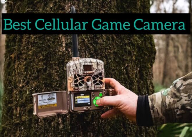 Top 5 Best Cellular Game Camera