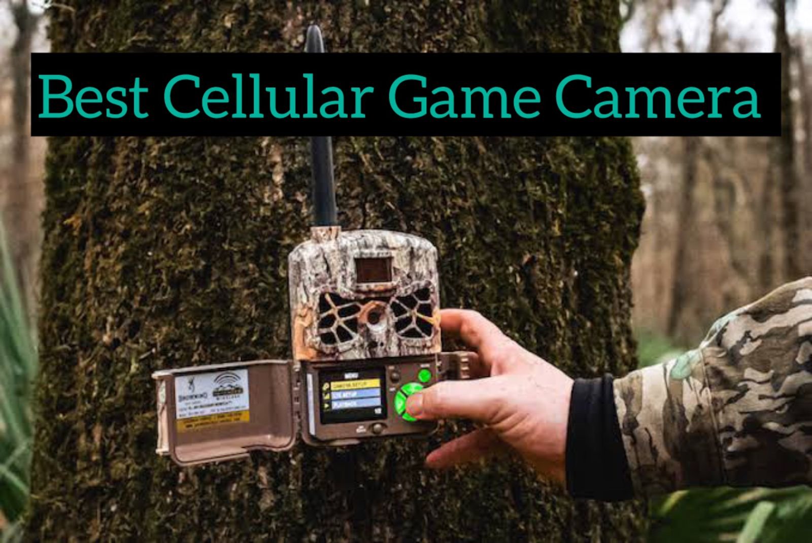 Top 5 Best Cellular Game Camera