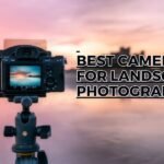 Top 7 Best Cameras for Landscape Photography