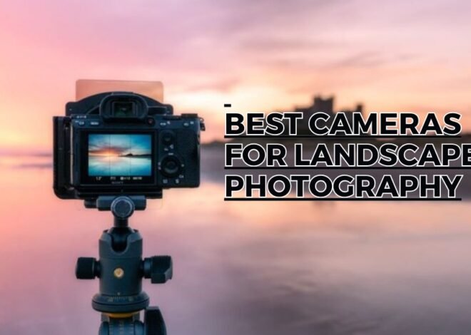 Top 7 Best Cameras for Landscape Photography