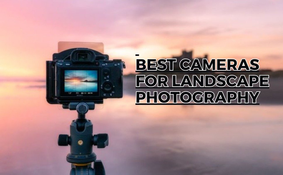 Top 7 Best Cameras for Landscape Photography